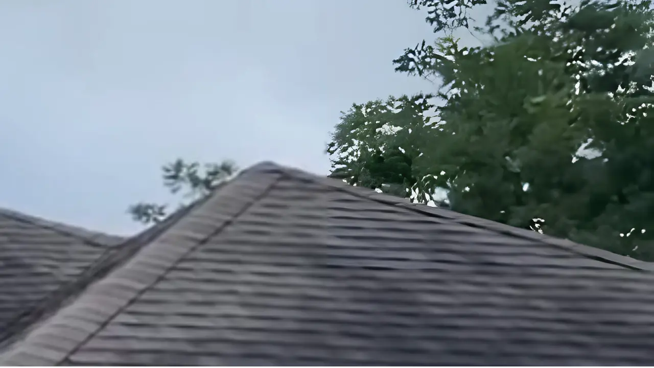 In the scene of rainy weather, a dirty roof affected by organic growth and a tree moving with wind.