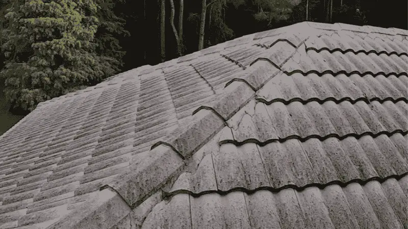 A dirty gray concrete tile roof with heavy black mold and organic stains before roof cleaning in Wilmington, NC
