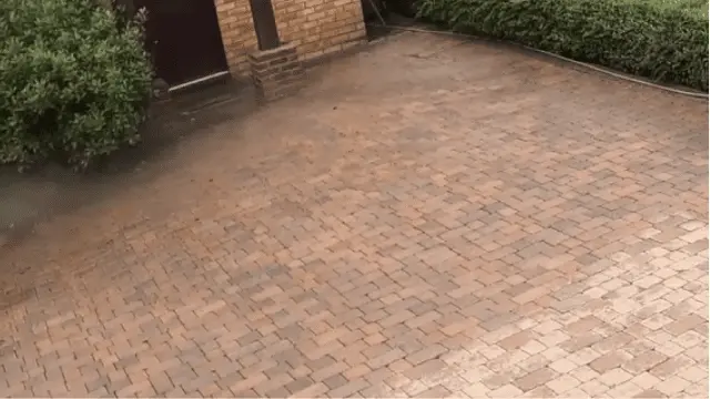 A red brick paver driveway beside a hedge after pressure washing.