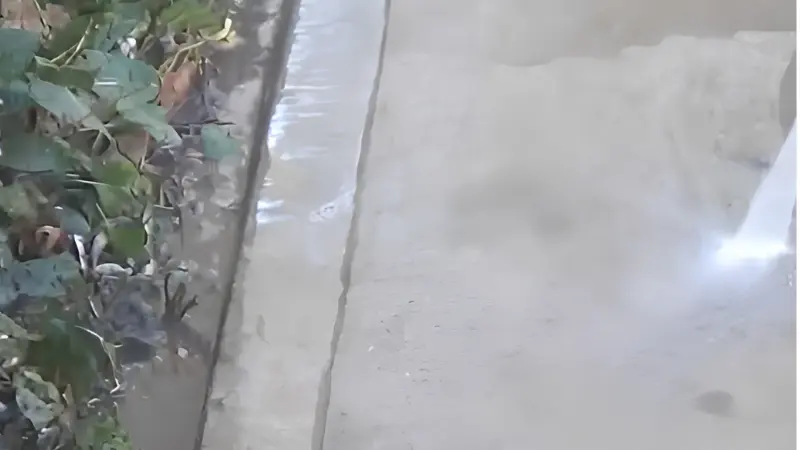 Concrete walkway beside plants being pressure washed to remove grime - Sidewalk Cleaning Wilmington, NC