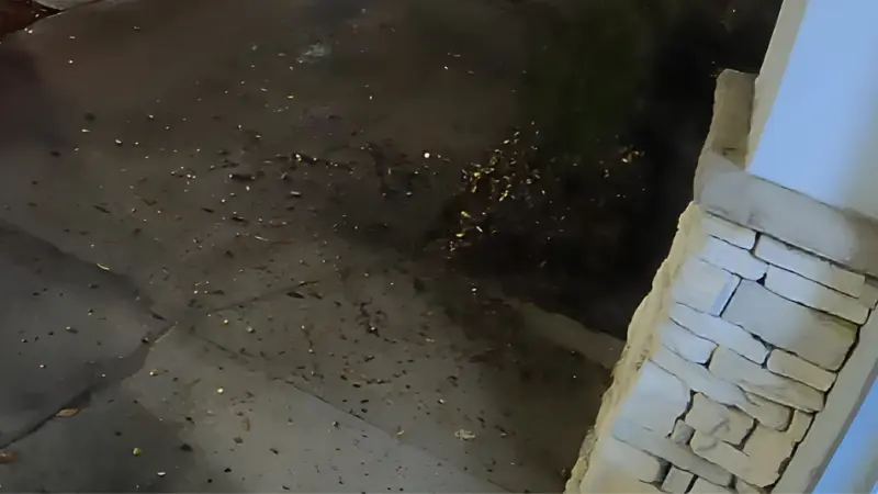 Concrete walkway covered in dirt and debris - Professional Pressure Washing Wilmington, NC