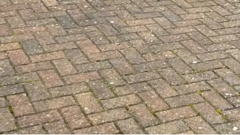 Dirty herringbone brick pavers with moss in the joints