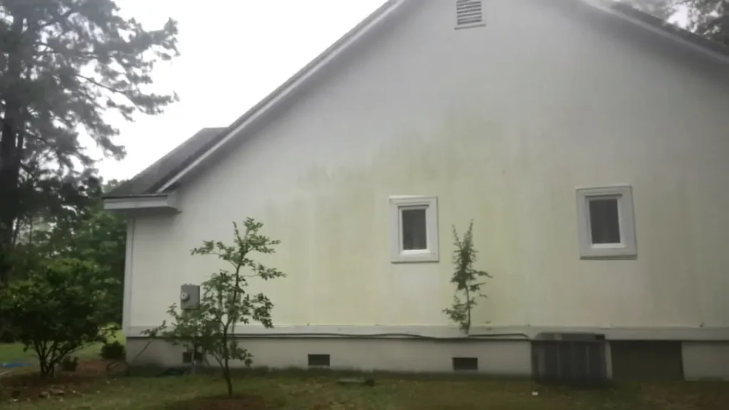 House exterior stained with mildew and dirt