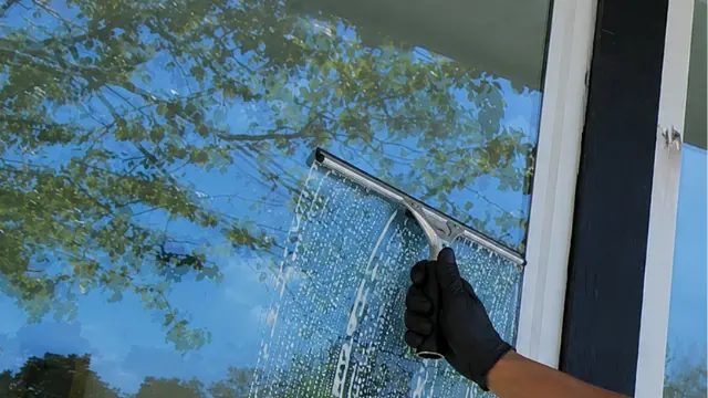 Exterior Window Washing Squeegee - Window Cleaning Wilmington, NC Squeegee cleaning an exterior window reflecting trees and sky