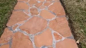 Clean flagstone walkway between patches of grass