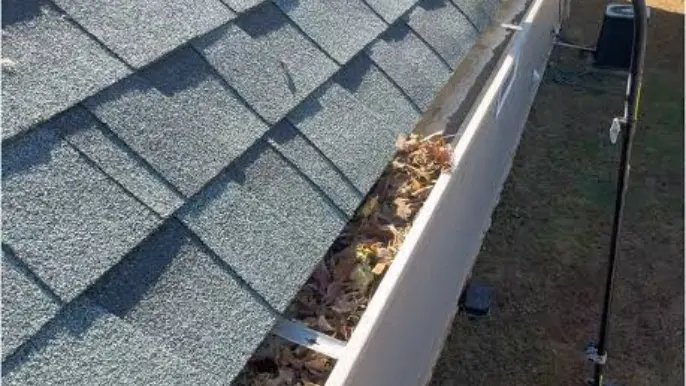 Gutter Cleaning Leaves In Gutter - Professional Pressure Washing Wilmington, NC Leaves and debris clogging a gutter on a shingle roof