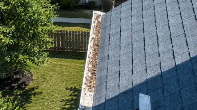 Gutter packed with debris along a gray shingle roof above a yard - Gutter Cleaning in Wilmington, NC