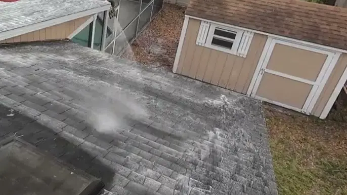 Shed Roof Moss Cleaning - Professional Pressure Washing Wilmington, NC Shed roof and gutter line being cleaned of moss and dirt